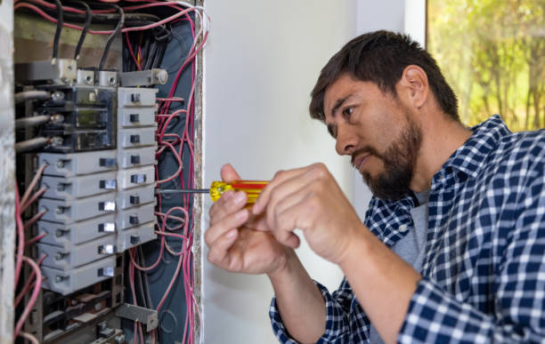 Best Electric Panel Repair  in Vado, NM